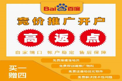 SEO百度推广策略：成功案例解析